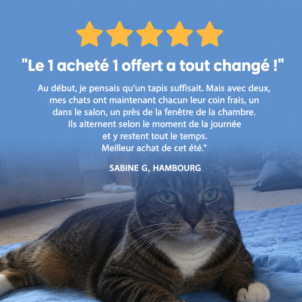 Felicoon™ - Tapis rafraîchissant